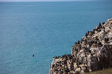 《传送门》衍生游戏新DLC于8月发布 新章节武器登场