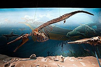 I社《甜心选择2》Steam版已发售 支持中文锁国区