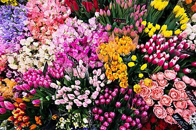 事件激战连连《斯普拉遁3》8月夏日重磅活动多